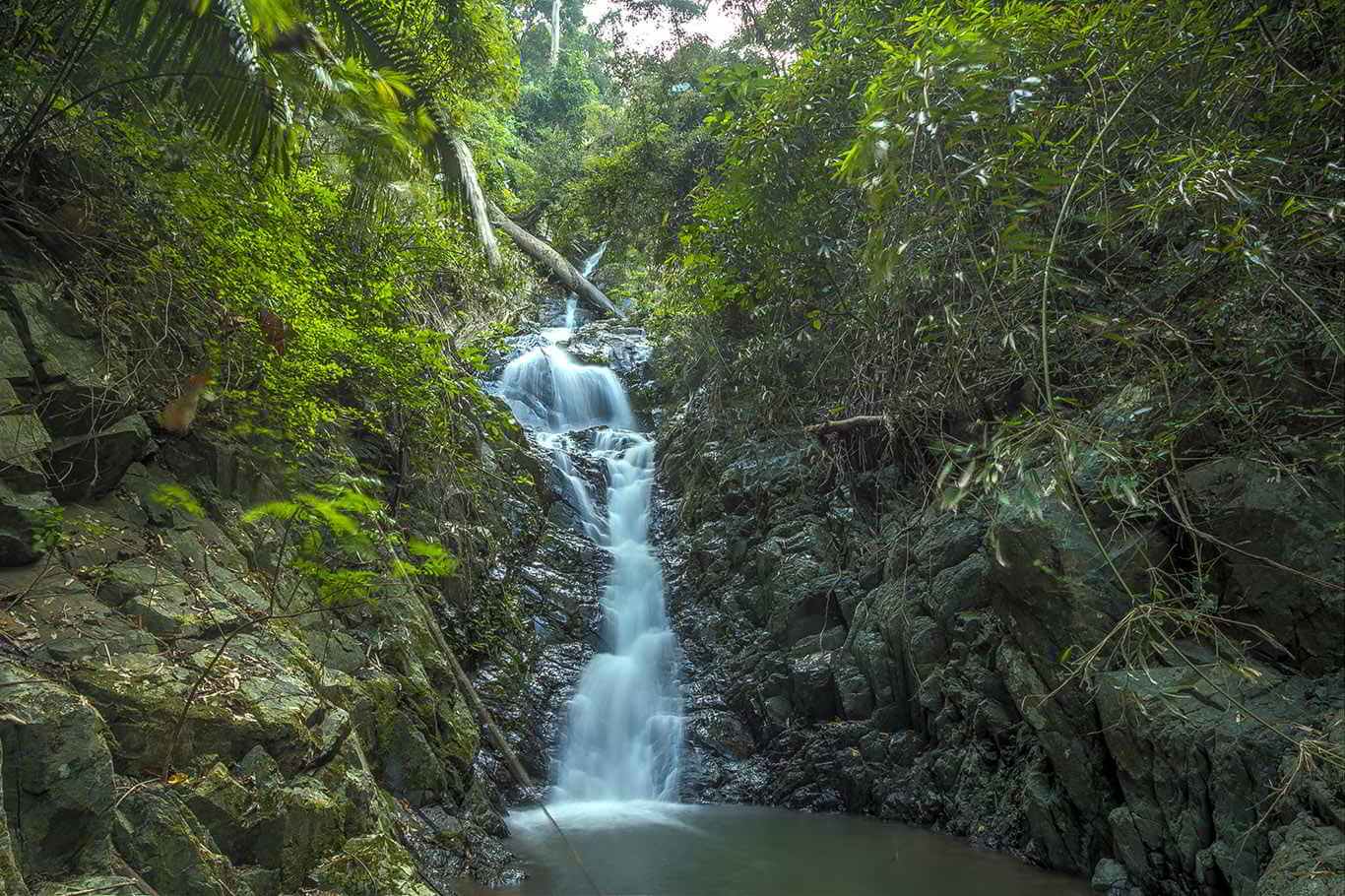 Cardamom Mountains Rainforests