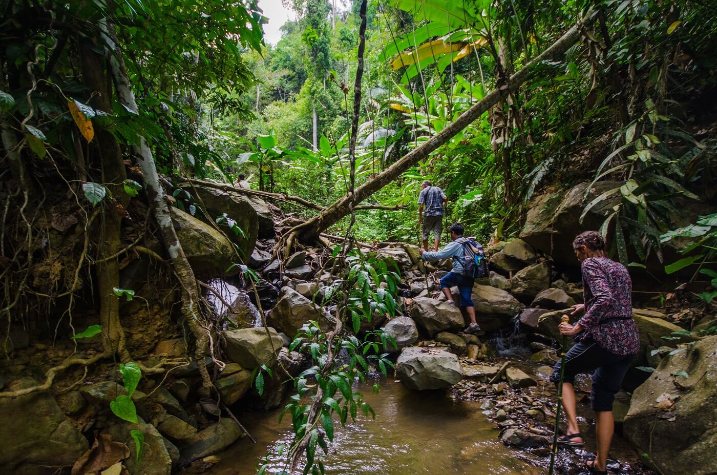 Pailin Province