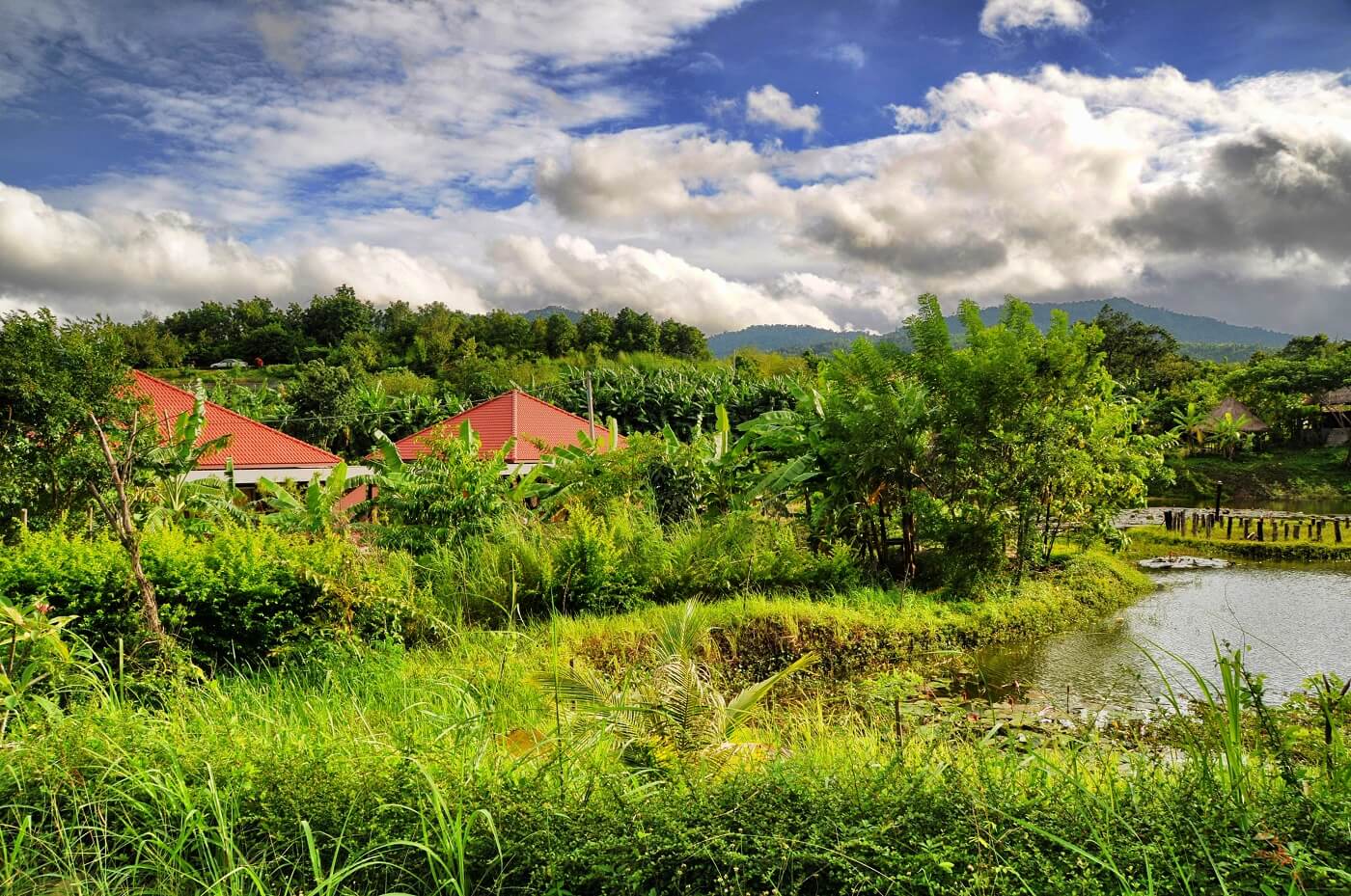 Pailin eco retreat