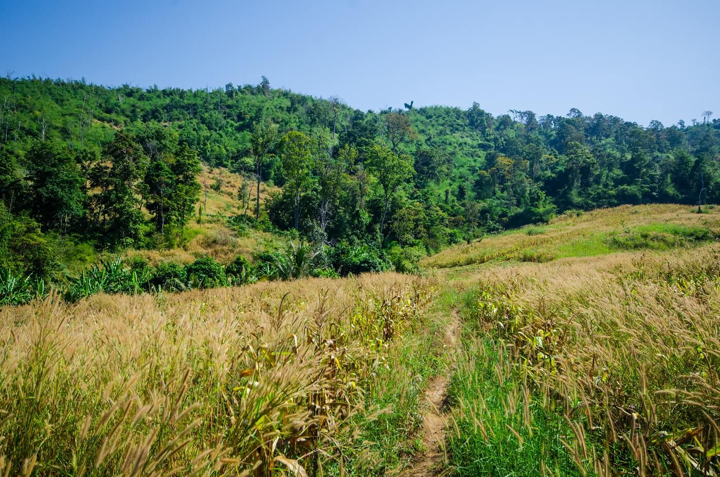 eco retreat in Cambodia