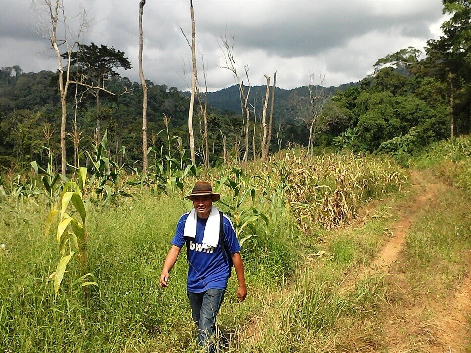 cardamom mountains trekking